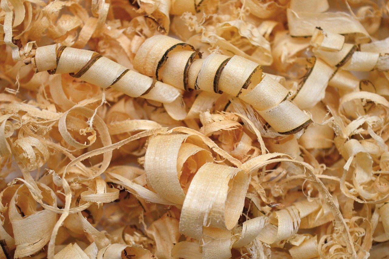 Qui sommes nous ? wood chips, wooden curls, crisps, hd wallpaper, texture, wooden background, hd background, background, shavings, wood, chips, curls from planing, curly hair, iridescent curls, wooden wedding, nature, naturally, wood wallpaper, background image, wallpaper, nature wallpaper, planed wood